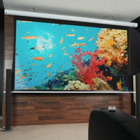 Gebraucht – Sehr gut// SAKER PREMIUM – MaxWhite FG / 16:9 / 120" (266 x 149 – Vorlauf ) // B-SK120XHW-E20 – 245H01259